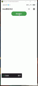 Flutter MPFlutter框架 微信小程序 图片/视频预览-IT网络技术分享