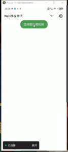 Flutter MPFlutter框架 微信小程序 调用图片、视频选择器-IT网络技术分享
