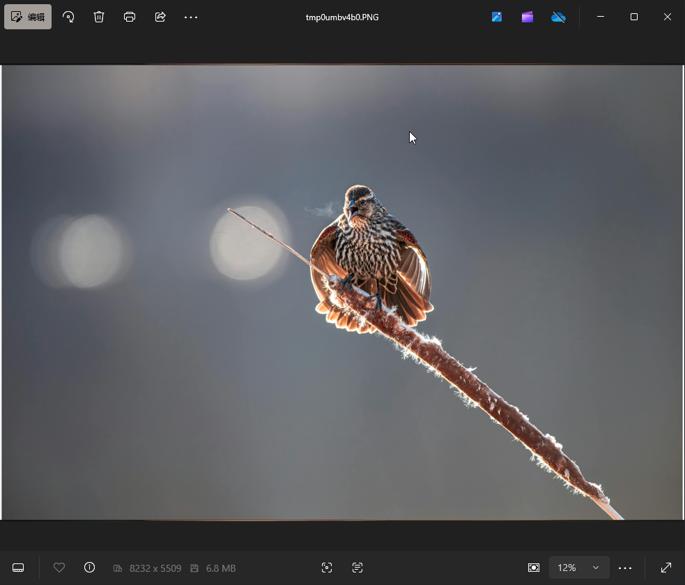 图片[2]-python 使用Pillow给图片加边框-IT网络技术分享