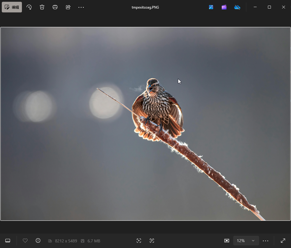 图片[3]-python 使用Pillow给图片加边框-IT网络技术分享