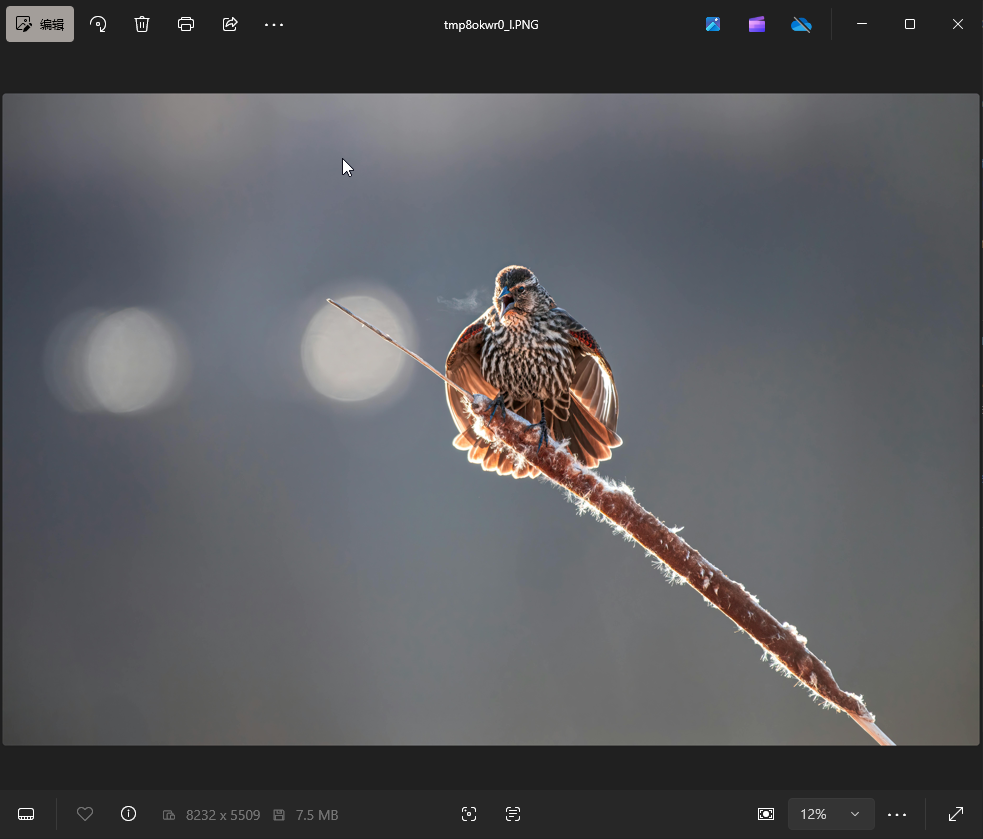 图片[4]-python 使用Pillow给图片加边框-IT网络技术分享